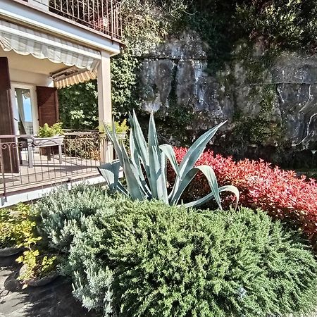Citrus Apartment Brenzone Bagian luar foto